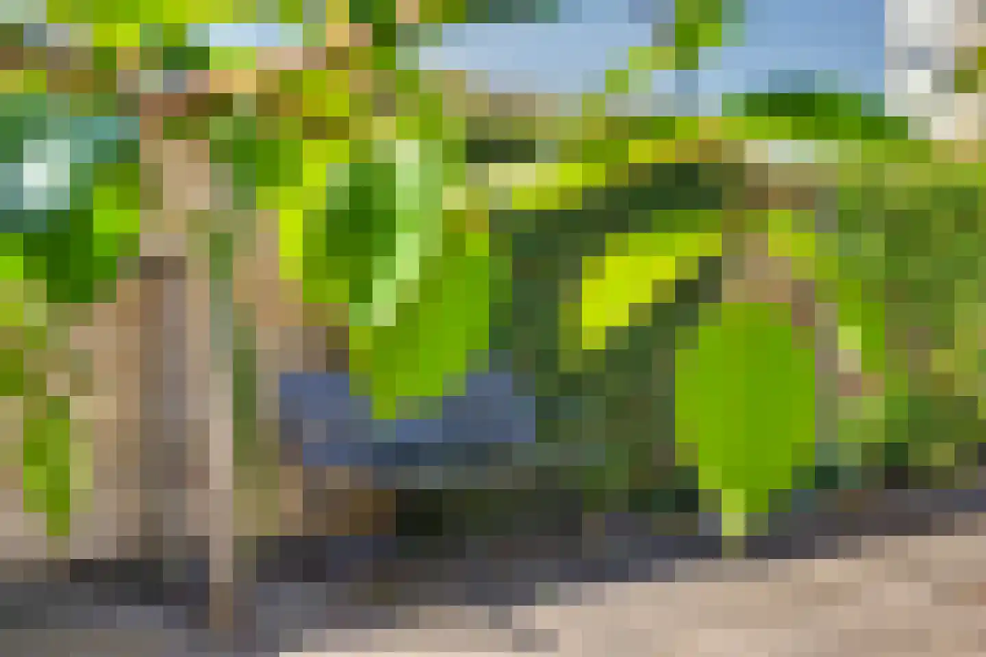 Peppeldreef 25 Kamperland thumbnail 26