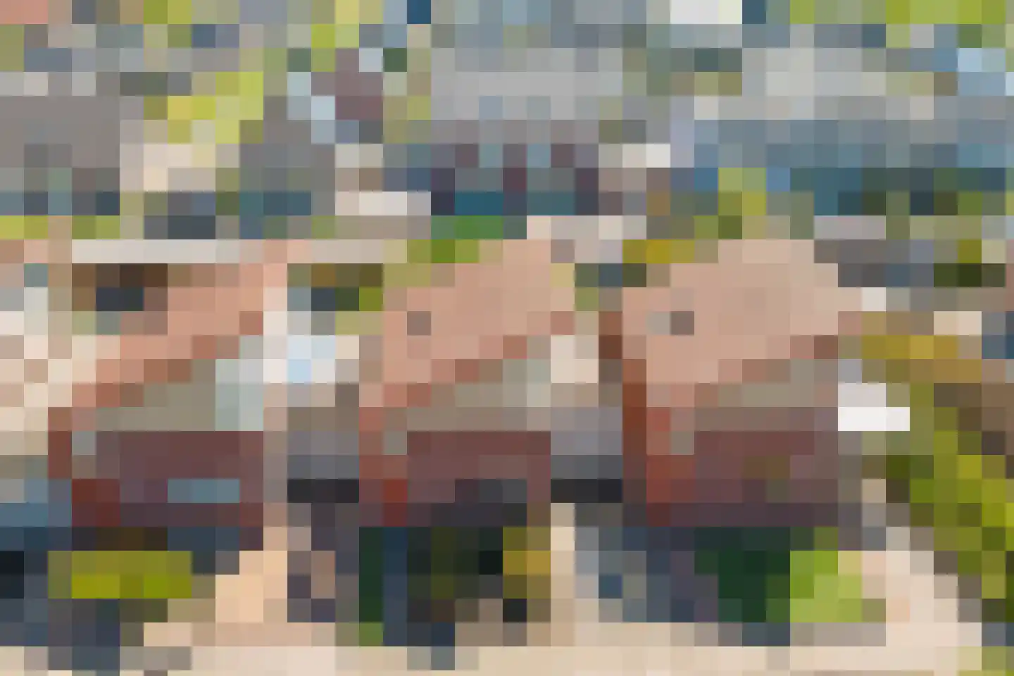 Peppeldreef 25 Kamperland thumbnail 33