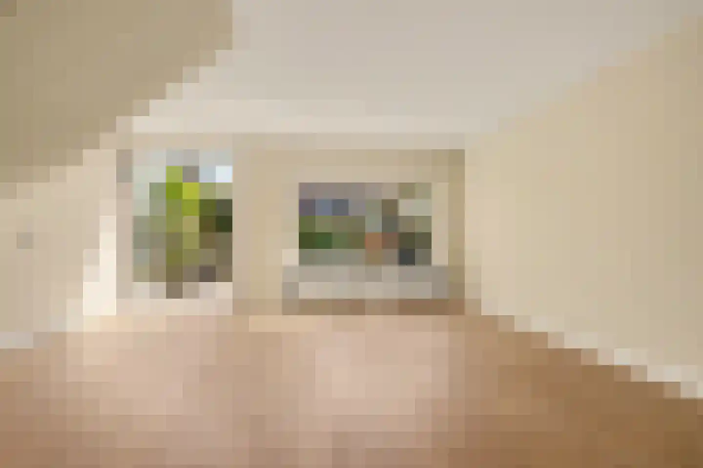 Peppeldreef 25 Kamperland thumbnail 6