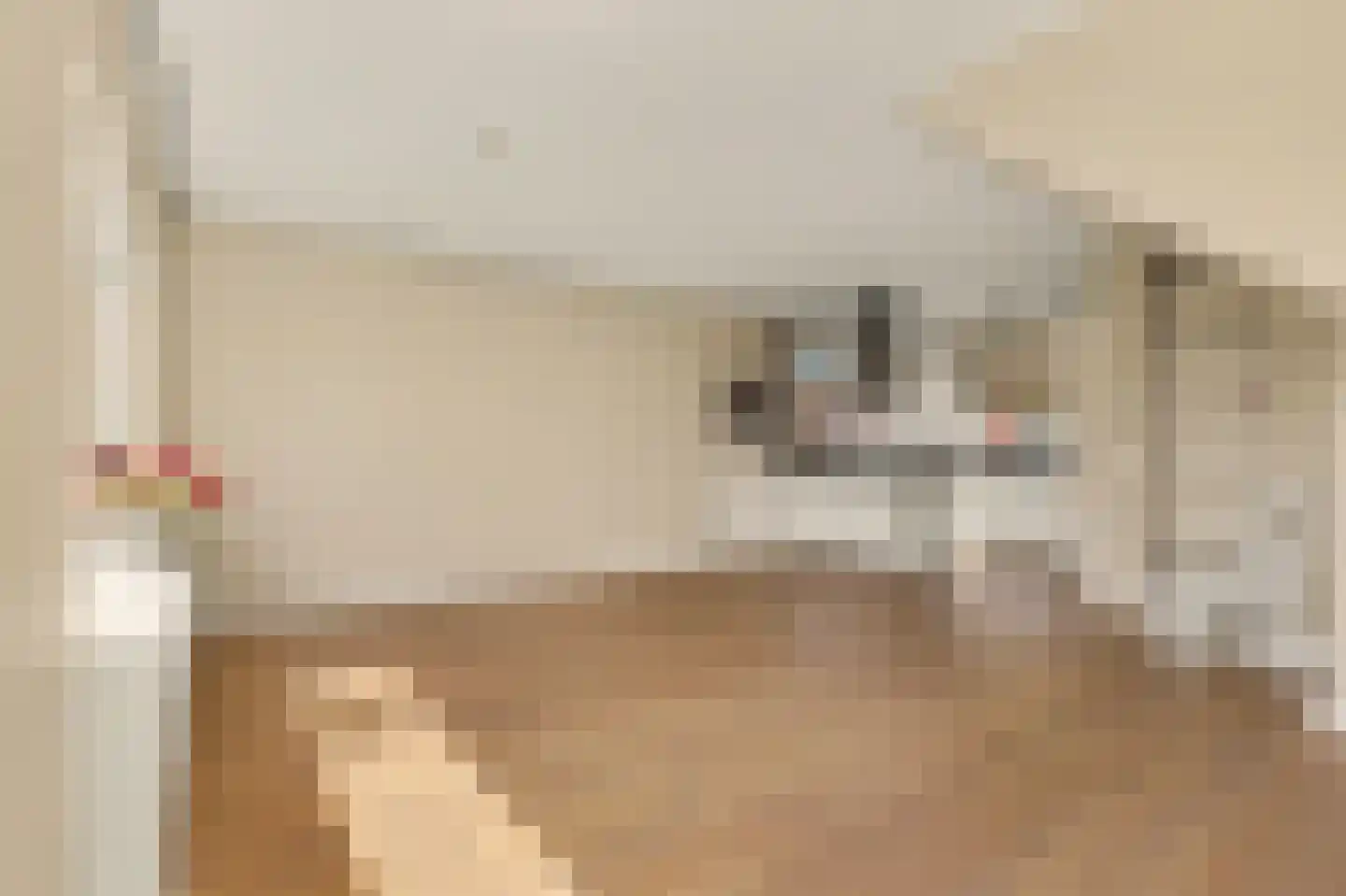 Peppeldreef 25 Kamperland thumbnail 7