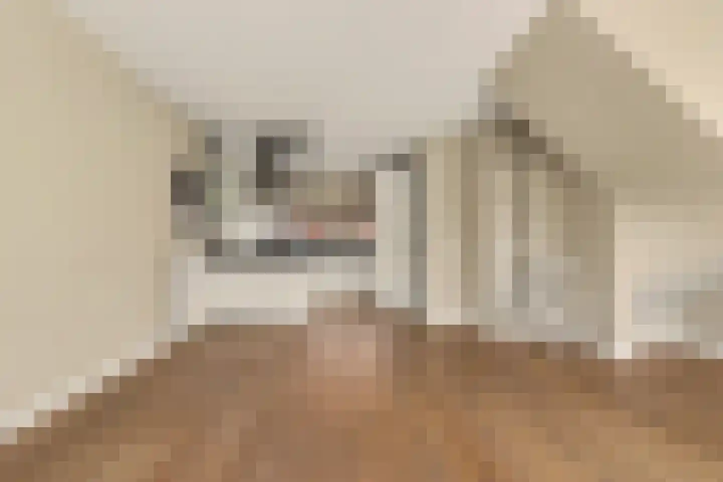 Peppeldreef 25 Kamperland thumbnail 8