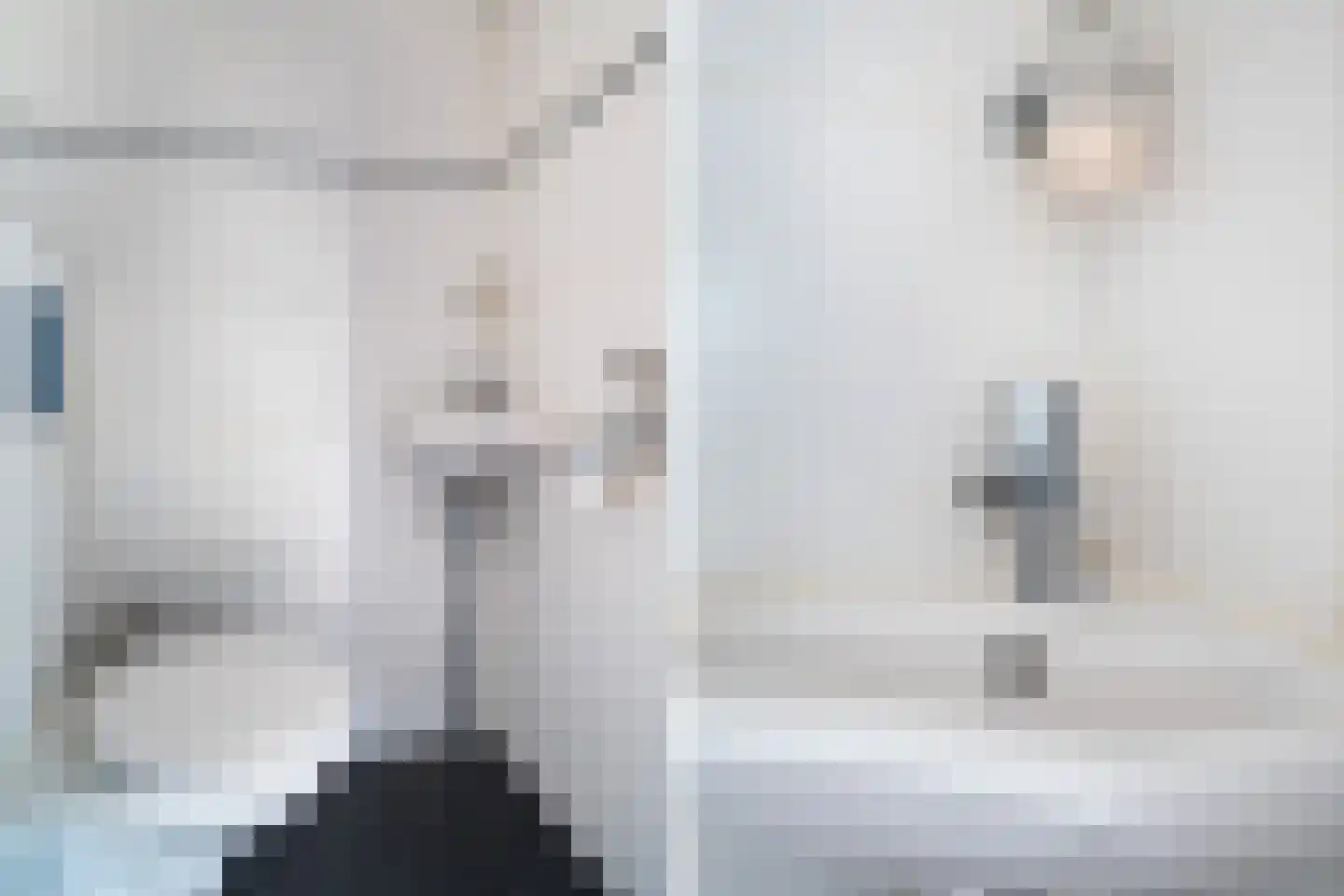 Peppeldreef 3 Bleiswijk thumbnail 10