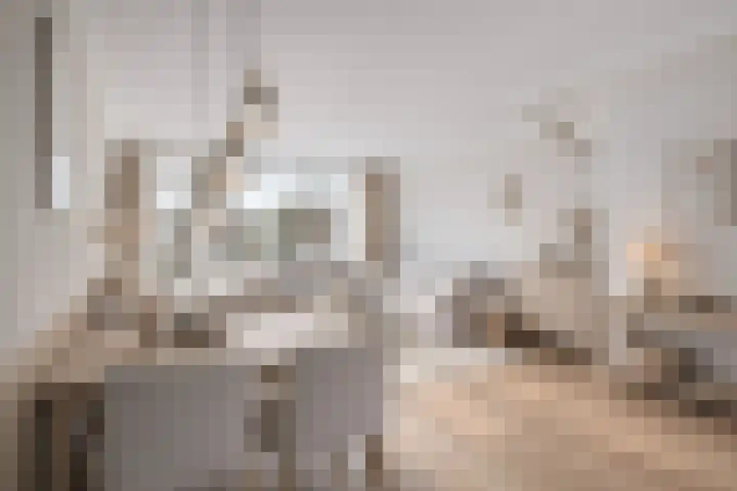 Peppeldreef 3 Bleiswijk thumbnail 15