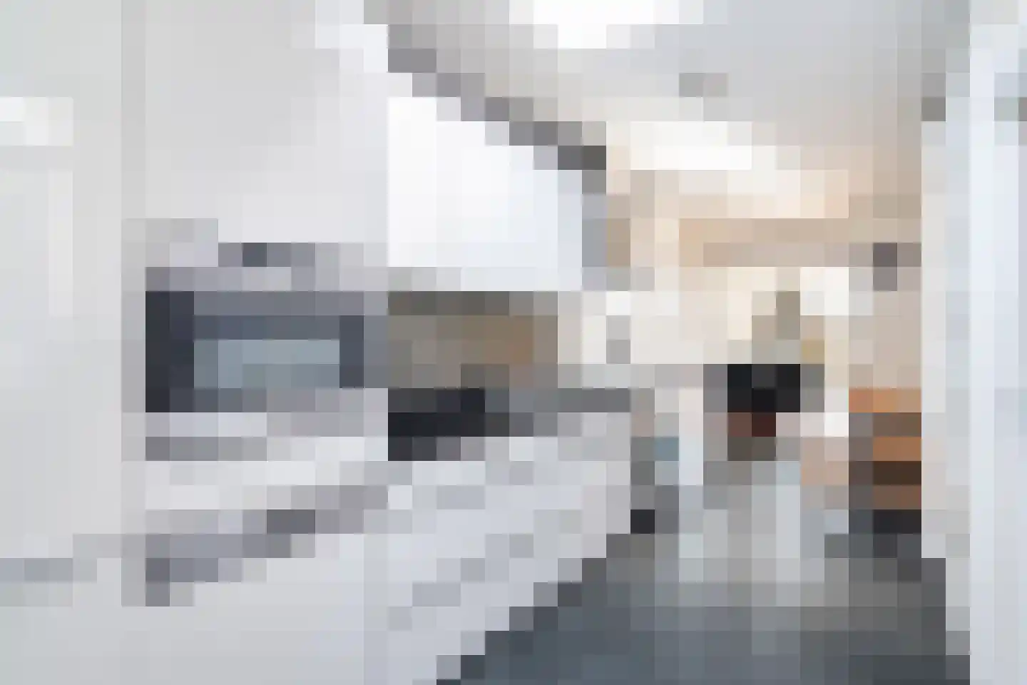 Peppeldreef 3 Bleiswijk thumbnail 17