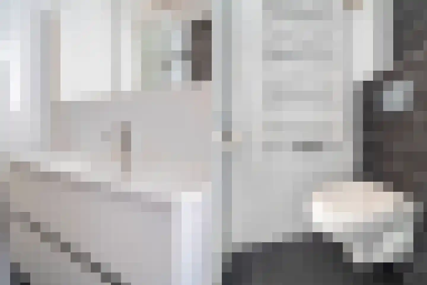 Peppeldreef 3 Bleiswijk thumbnail 27