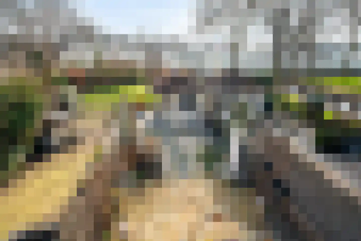 Peppeldreef 3 Bleiswijk thumbnail 35