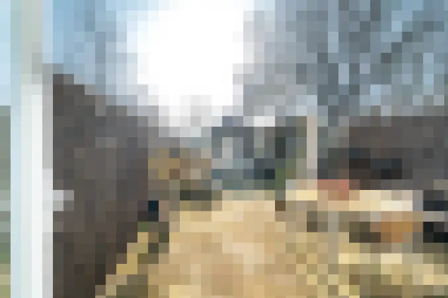 Peppeldreef 3 Bleiswijk thumbnail 36