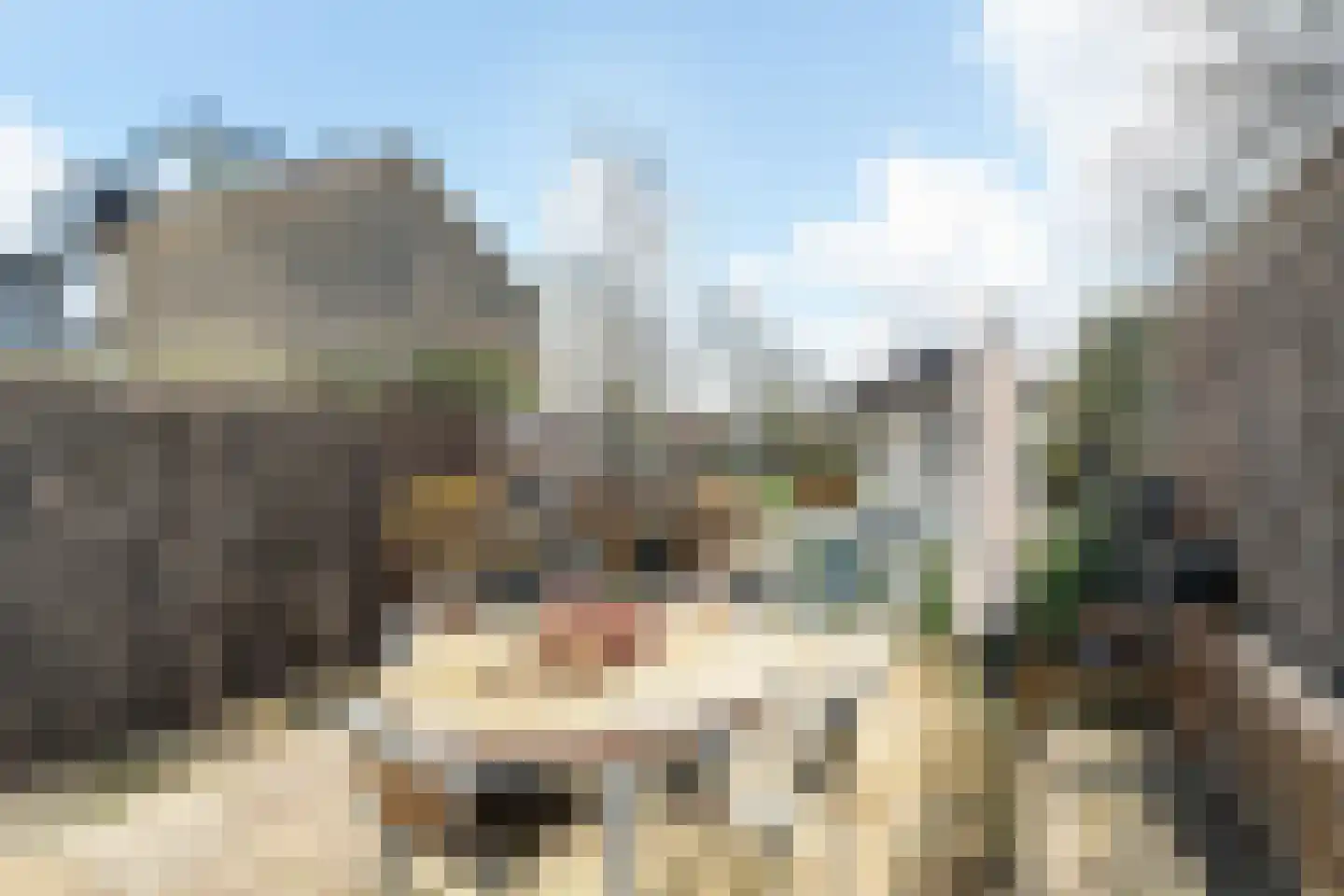 Peppeldreef 3 Bleiswijk thumbnail 37