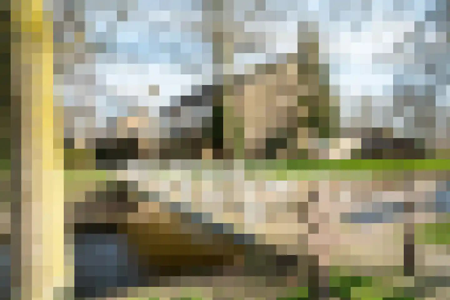 Peppeldreef 3 Bleiswijk thumbnail 43