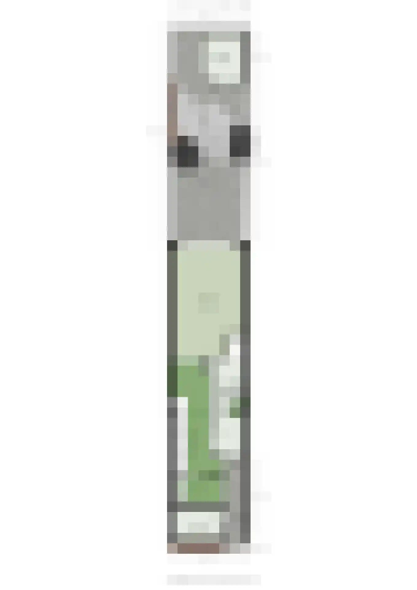 Peppeldreef 3 Bleiswijk thumbnail 50