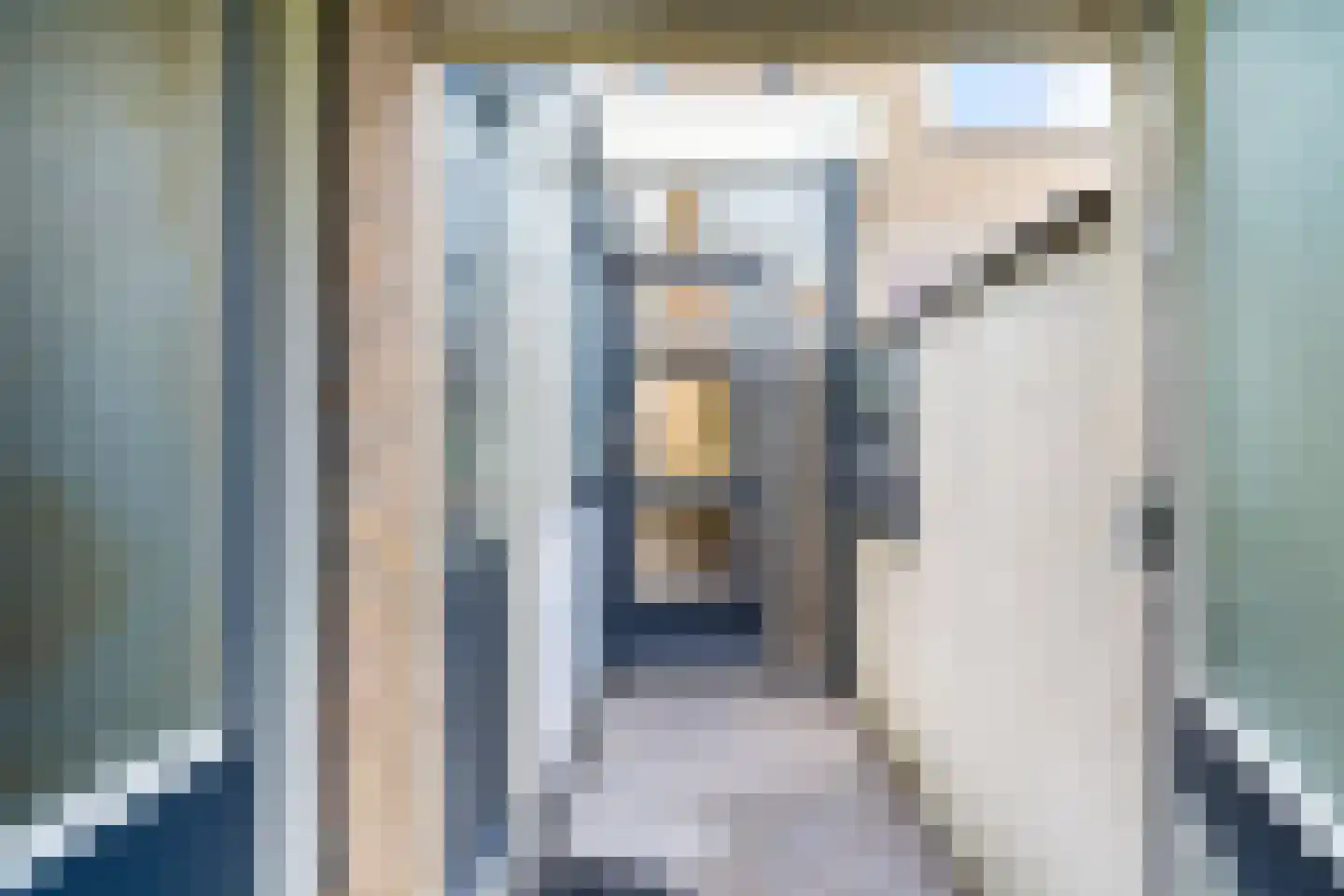Peppeldreef 3 Bleiswijk thumbnail 7