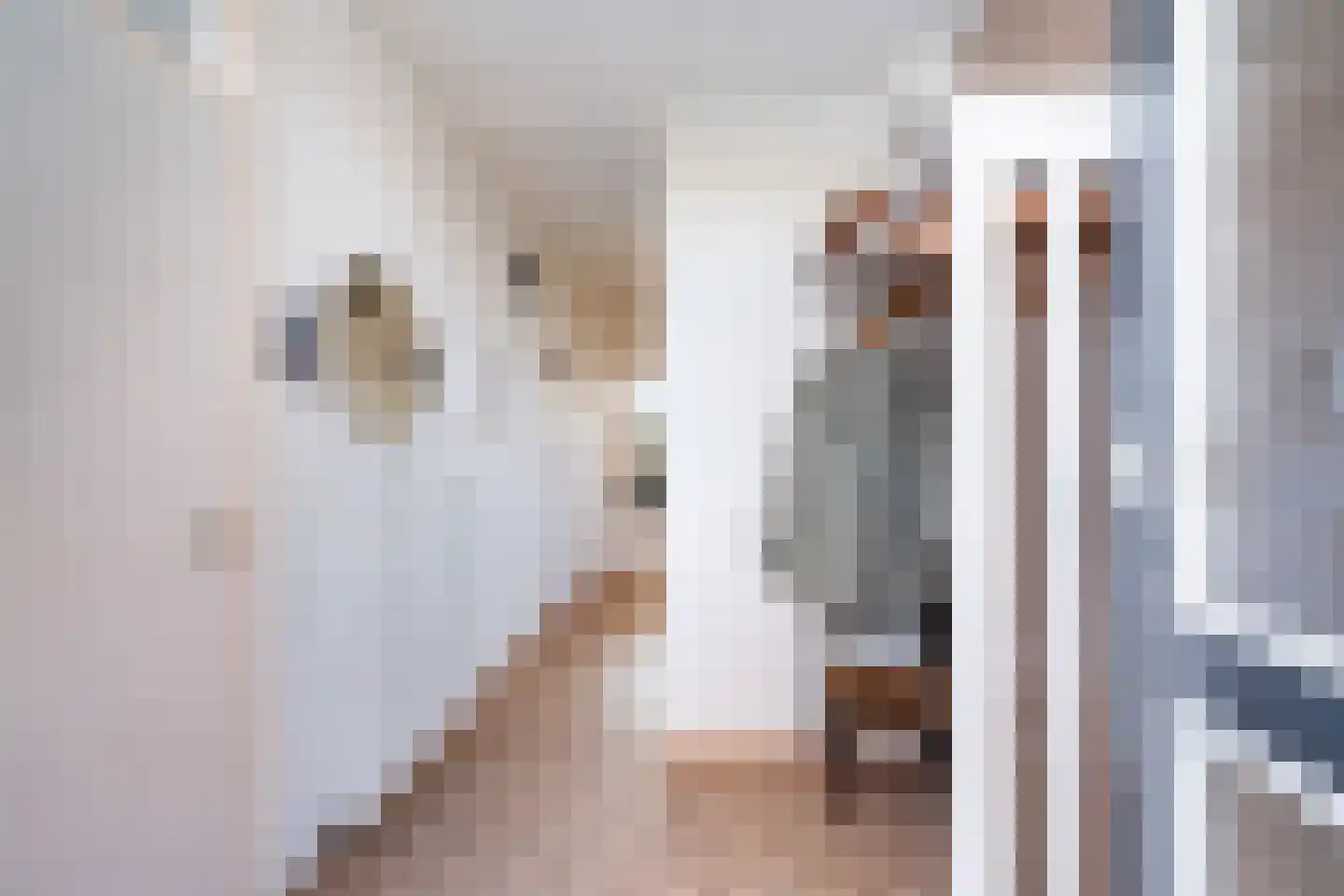 Peppeldreef 3 Bleiswijk thumbnail 8