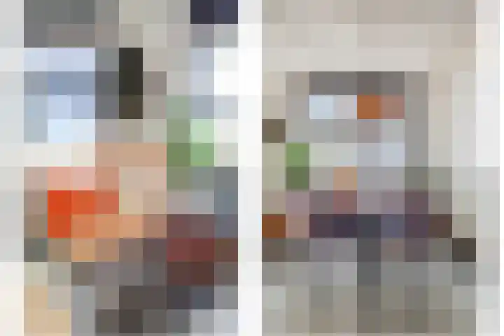 Peppeldreef 44 Kamperland thumbnail 11