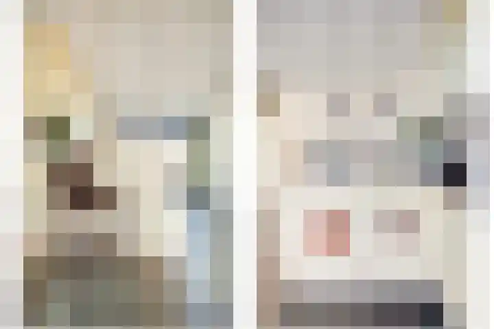 Peppeldreef 44 Kamperland thumbnail 12