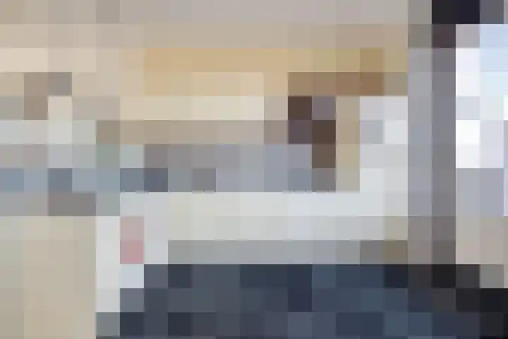 Peppeldreef 44 Kamperland thumbnail 13
