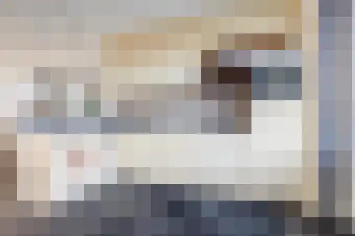 Peppeldreef 44 Kamperland thumbnail 14