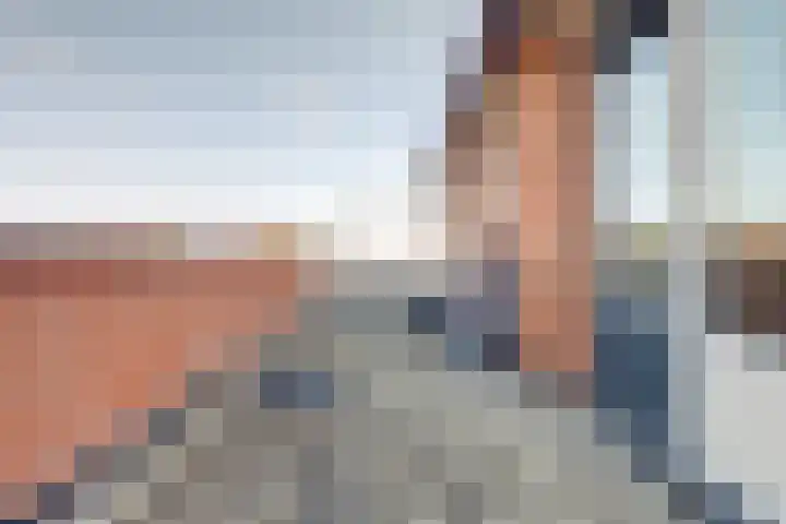 Peppeldreef 44 Kamperland thumbnail 17