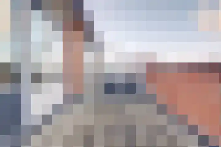 Peppeldreef 44 Kamperland thumbnail 18