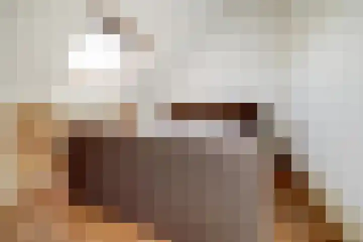 Peppeldreef 44 Kamperland thumbnail 20