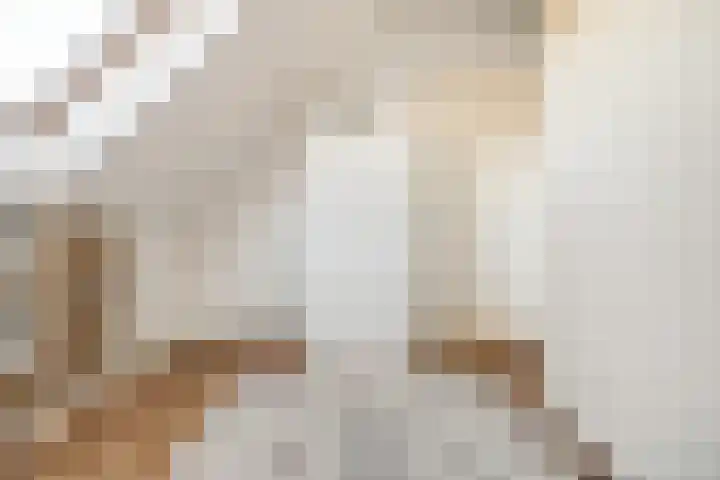 Peppeldreef 44 Kamperland thumbnail 22