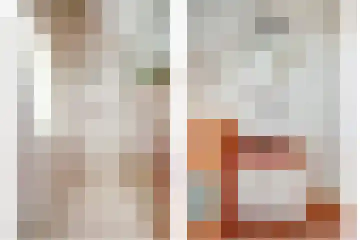 Peppeldreef 44 Kamperland thumbnail 24