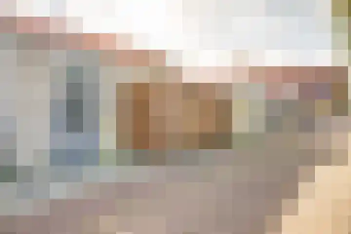 Peppeldreef 44 Kamperland thumbnail 26