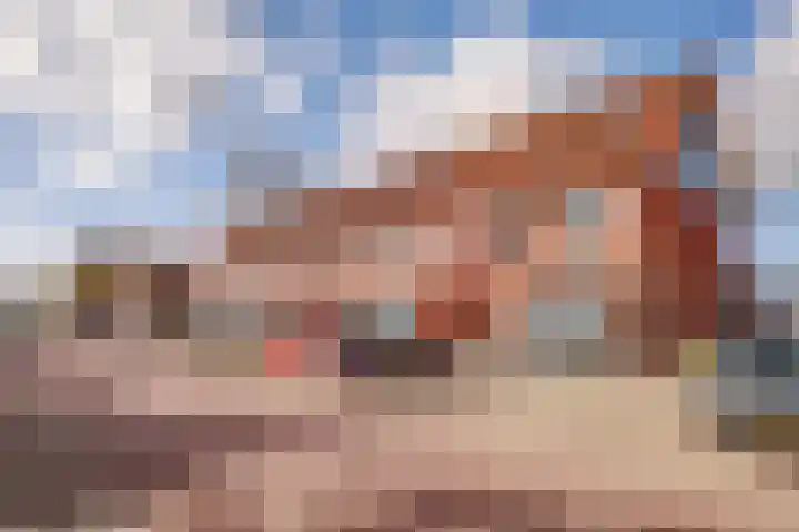 Peppeldreef 44 Kamperland thumbnail 29