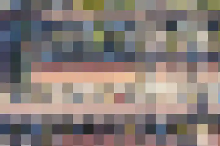 Peppeldreef 44 Kamperland thumbnail 30