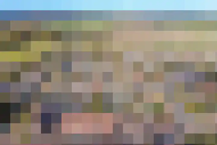 Peppeldreef 44 Kamperland thumbnail 31