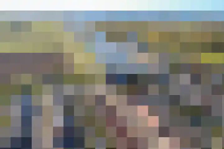 Peppeldreef 44 Kamperland thumbnail 33