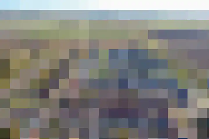 Peppeldreef 44 Kamperland thumbnail 34