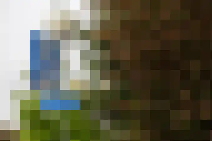Peppeldreef 44 Kamperland thumbnail 35