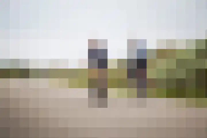 Peppeldreef 44 Kamperland thumbnail 36