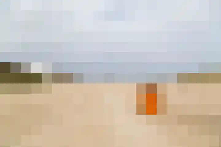 Peppeldreef 44 Kamperland thumbnail 37