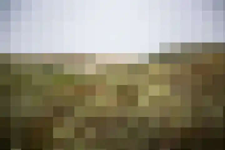 Peppeldreef 44 Kamperland thumbnail 38