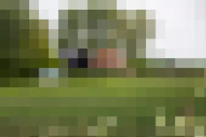 Peppeldreef 44 Kamperland thumbnail 39