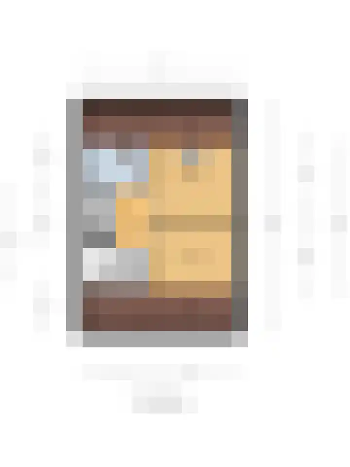 Peppeldreef 44 Kamperland thumbnail 42