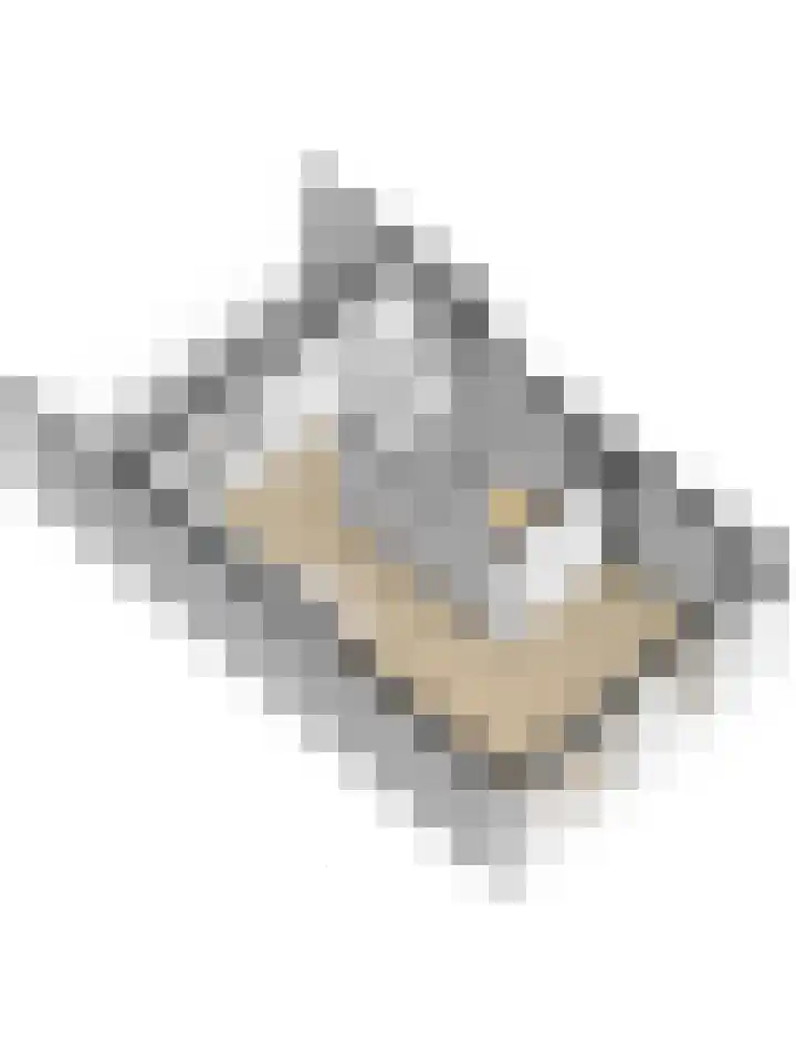 Peppeldreef 44 Kamperland thumbnail 44