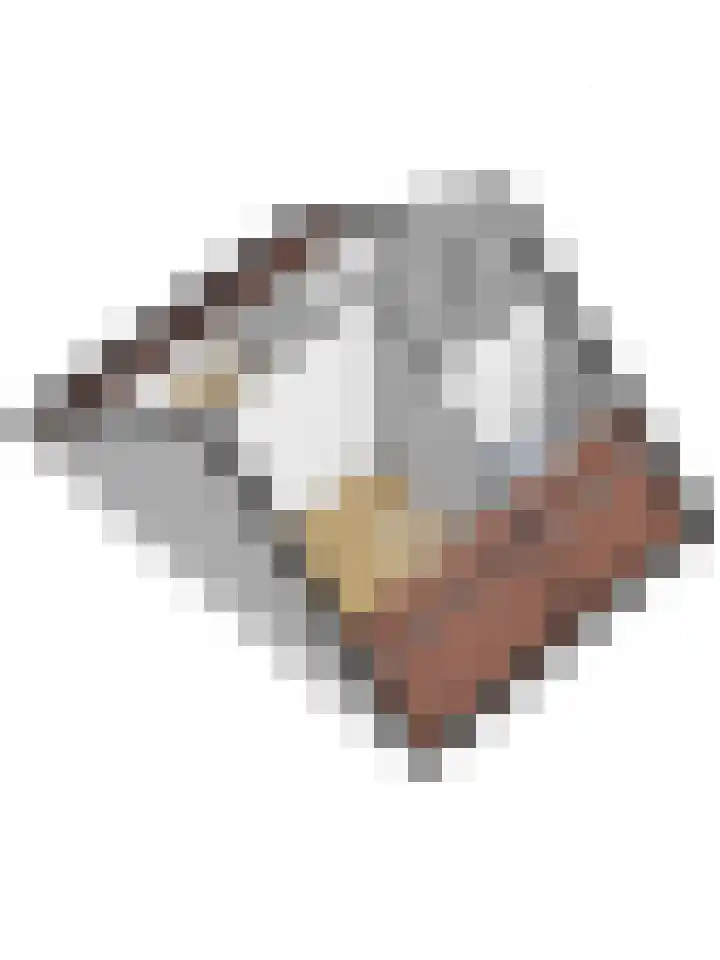 Peppeldreef 44 Kamperland thumbnail 45