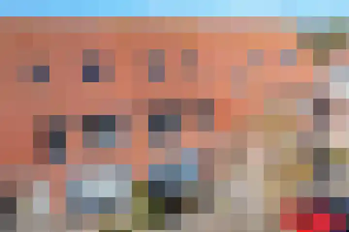 Peppeldreef 44 Kamperland thumbnail 5
