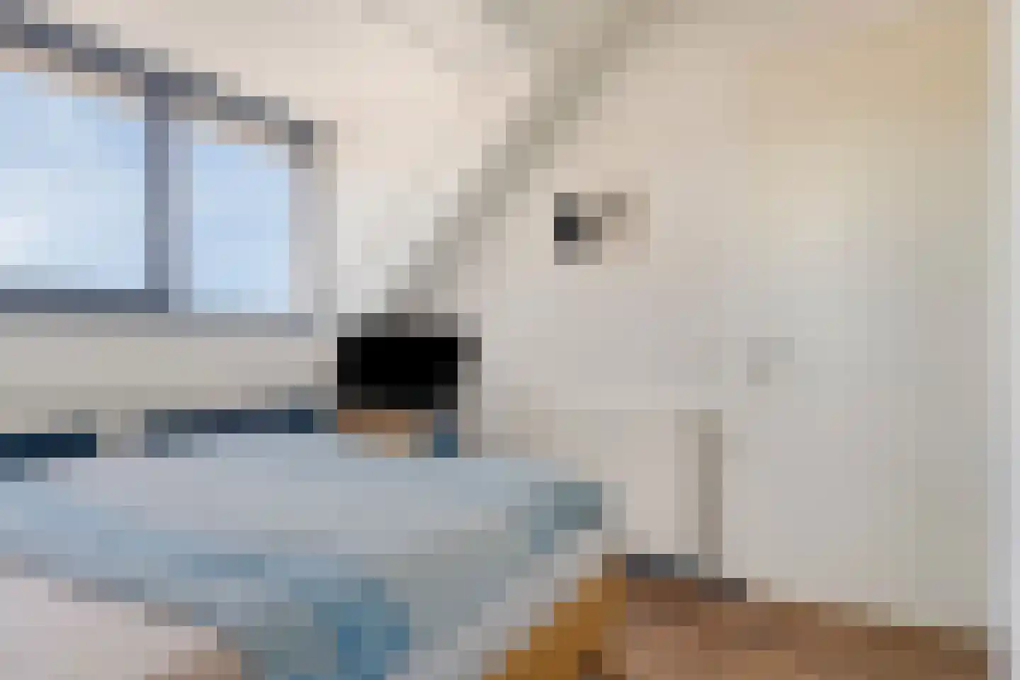 Peppeldreef 60 Kamperland thumbnail 17