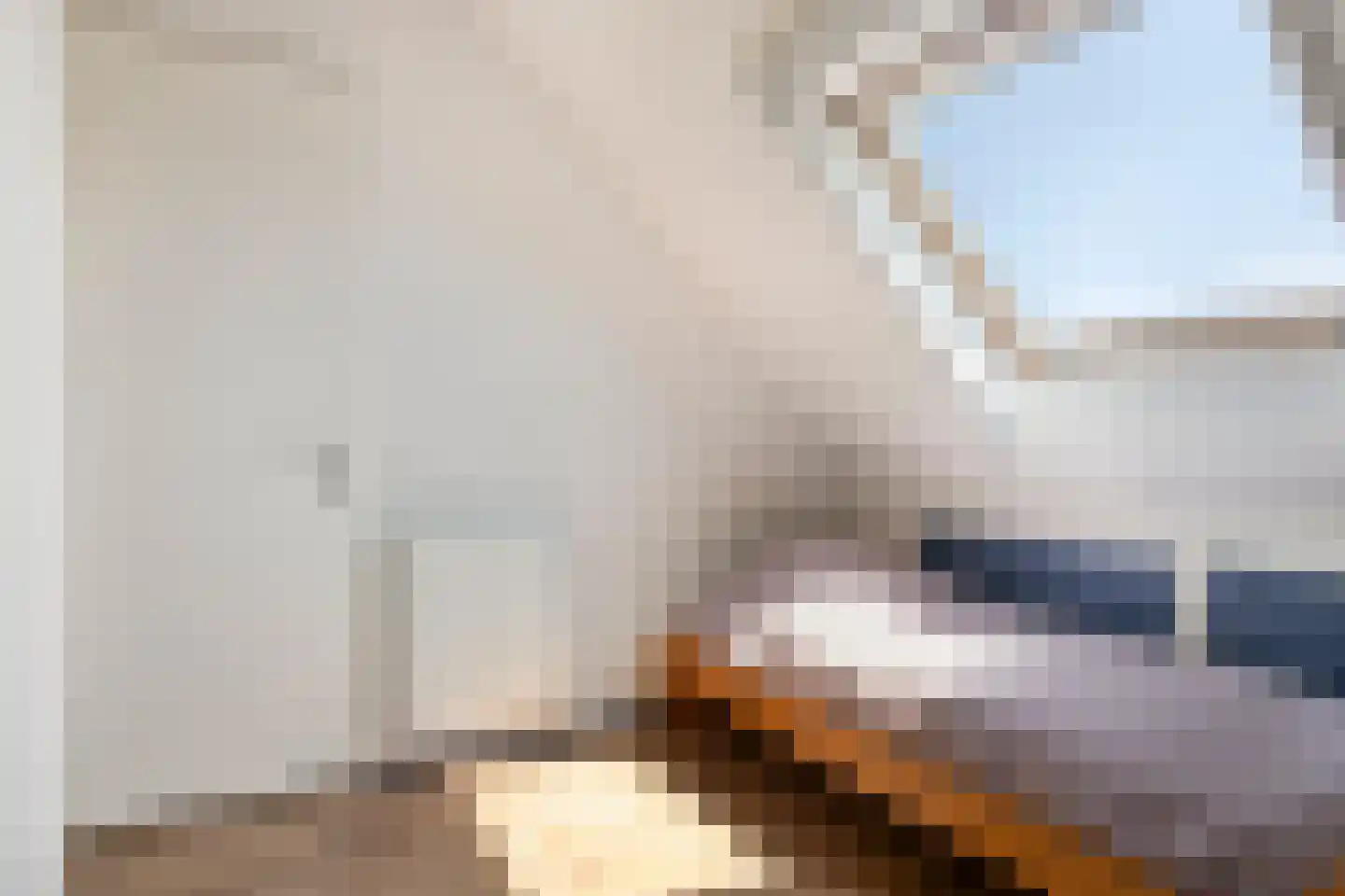 Peppeldreef 60 Kamperland thumbnail 18