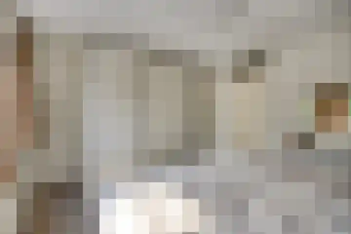 Peppelenwei 37 Arnhem thumbnail 13