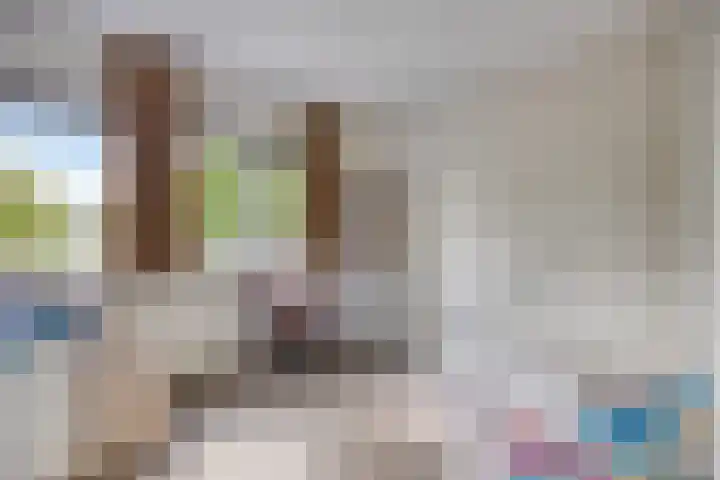 Peppelenwei 37 Arnhem thumbnail 15