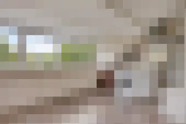 Peppelenwei 37 Arnhem thumbnail 18