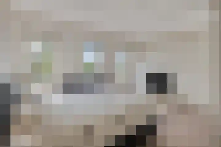 Peppelenwei 37 Arnhem thumbnail 19