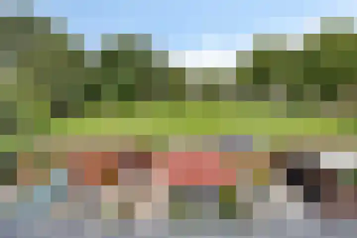 Peppelenwei 37 Arnhem thumbnail 21