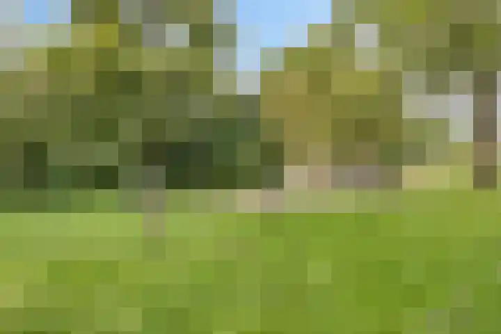 Peppelenwei 37 Arnhem thumbnail 25