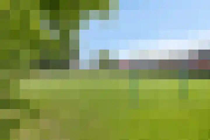 Peppelenwei 37 Arnhem thumbnail 26