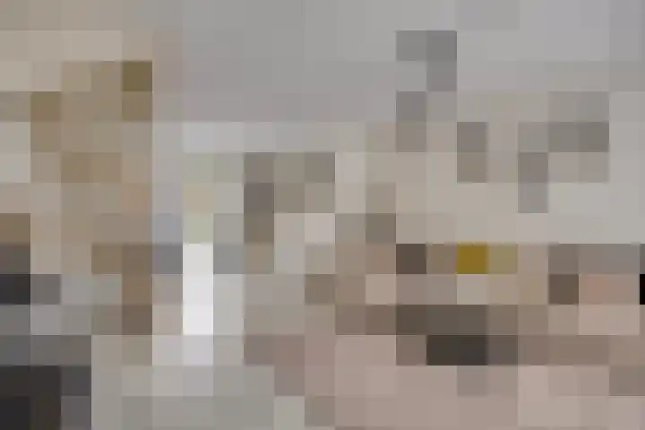 Peppelenwei 37 Arnhem thumbnail 4